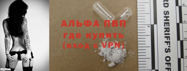 PSILOCYBIN Гусь-Хрустальный