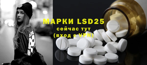 МДПВ Гусев
