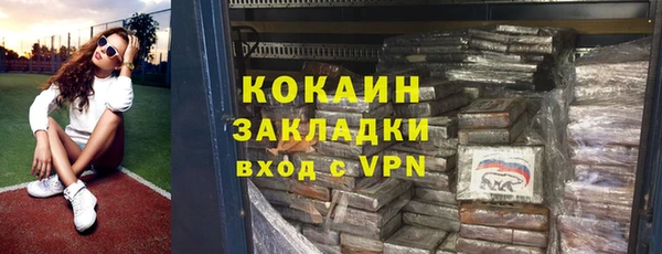 PSILOCYBIN Гусь-Хрустальный