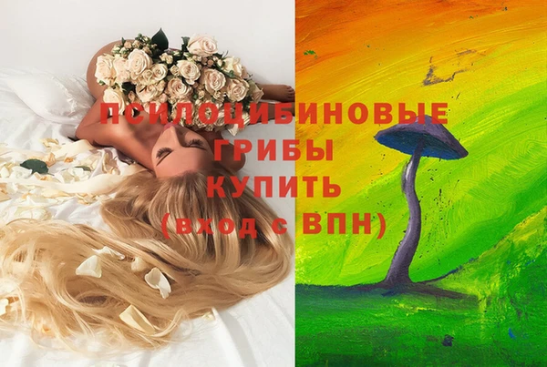 каннабис Гусиноозёрск