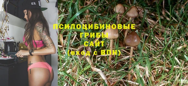 PSILOCYBIN Гусь-Хрустальный