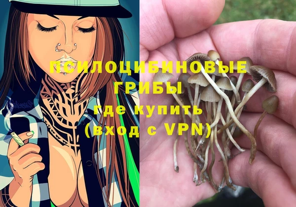МДПВ Гусев