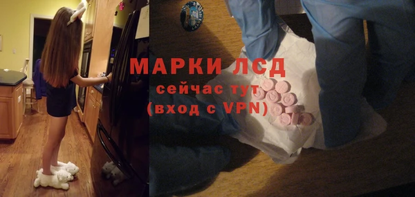 МДПВ Гусев