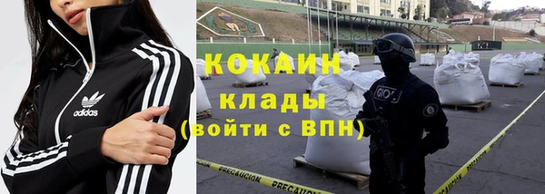 МДПВ Гусев