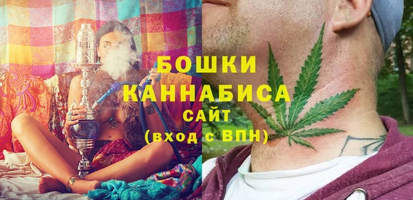 PSILOCYBIN Гусь-Хрустальный