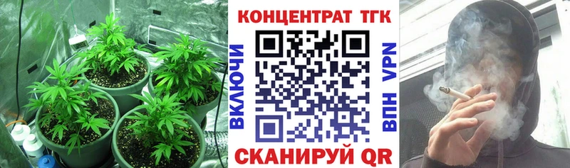 Купить закладки  Николаевск-на-Амуре  Дистиллят ТГК THC oil 